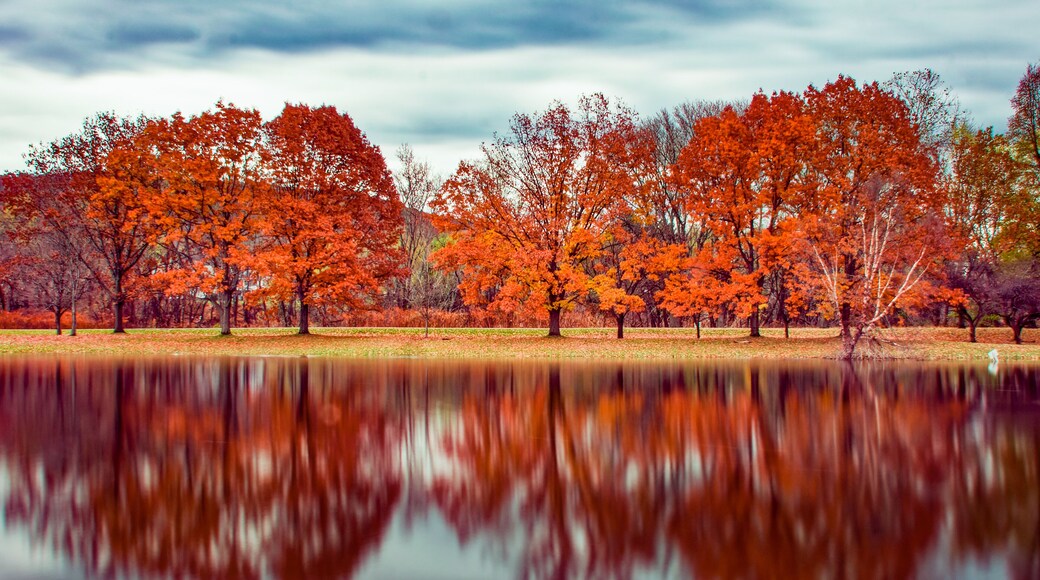 オッツィニンゴ パーク