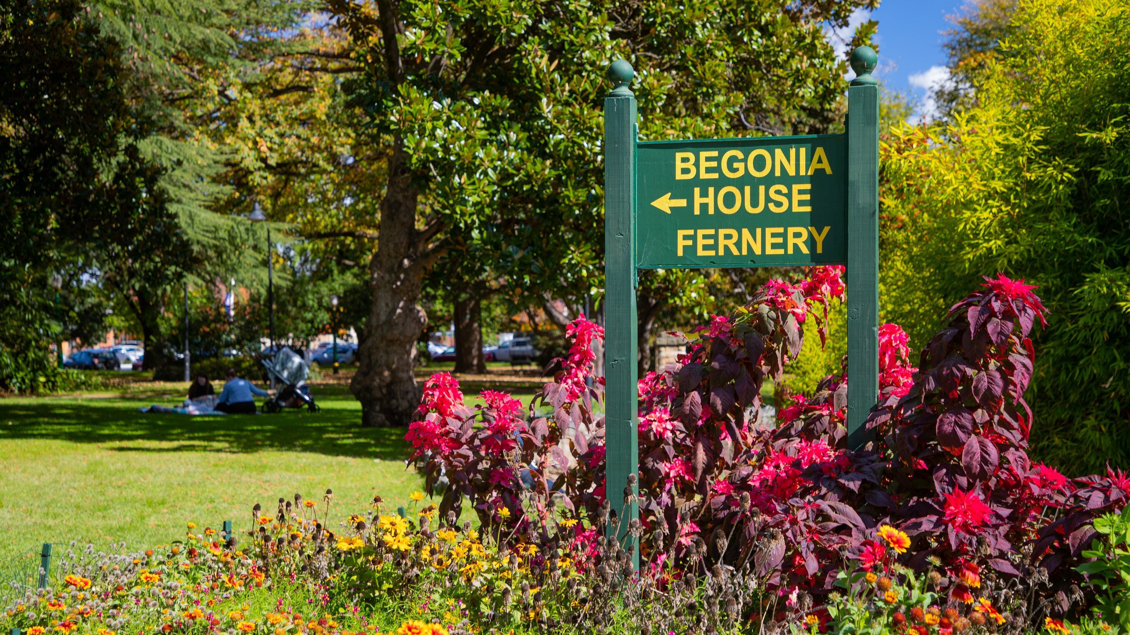 Machattie Park showing signage, a park and wildflowers