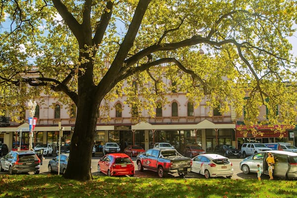 Machattie Park which includes a small town or village