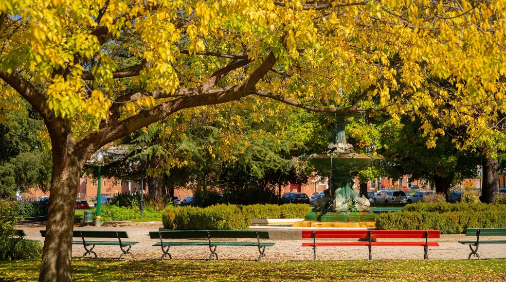 Machattie Park which includes a park and fall colors