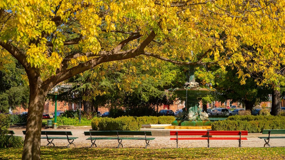 Machattie Park which includes a park and fall colors