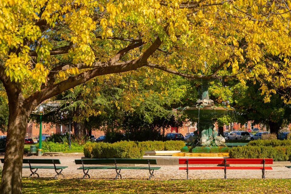 A park with a fountain, benches, and trees with yellow leaves.