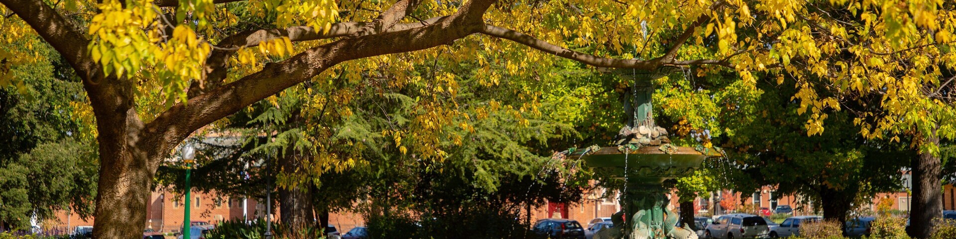 Machattie Park which includes a park and fall colors