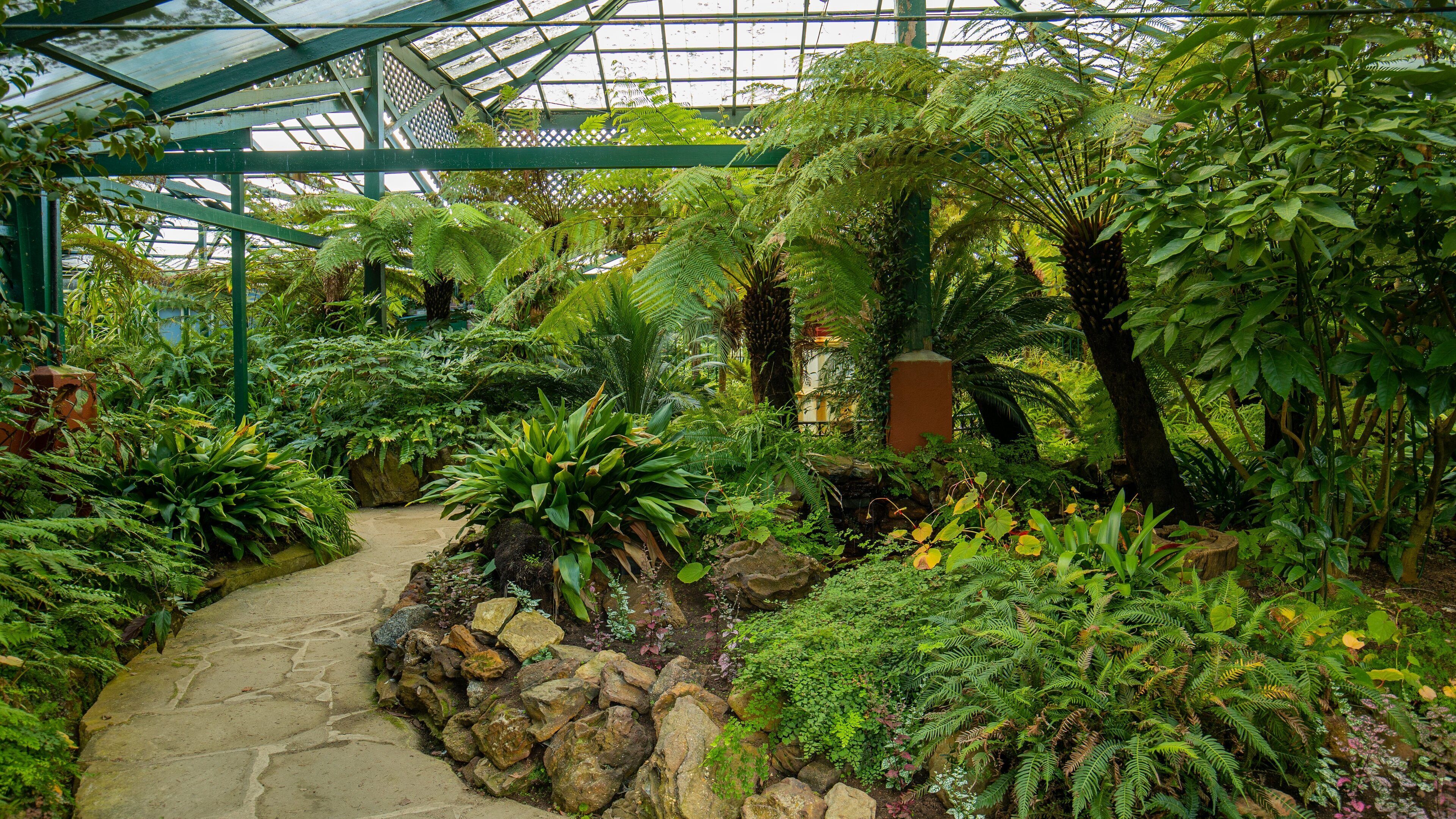 Bathurst featuring a park and interior views