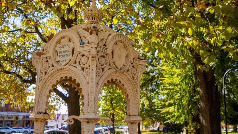 Machattie Park which includes heritage elements