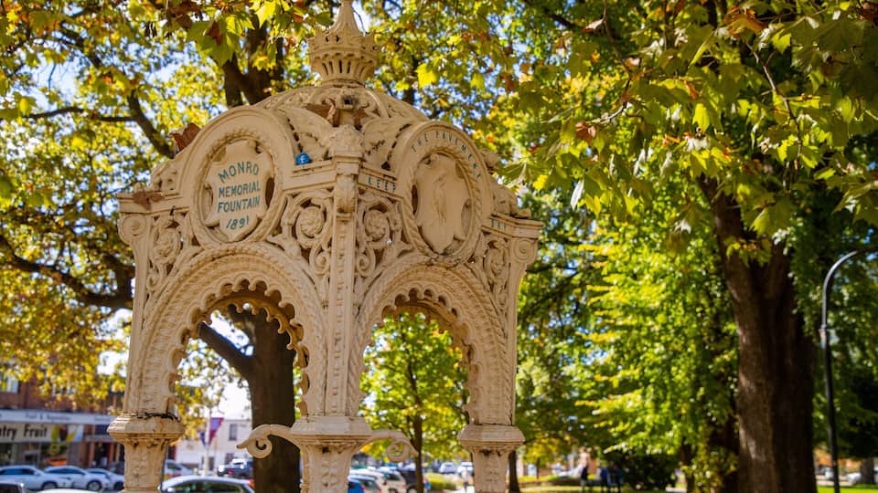 Machattie Park which includes heritage elements