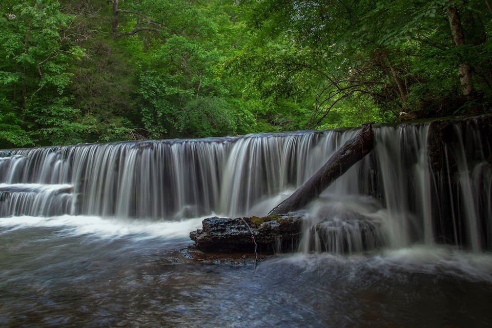 Una cascada en una zona boscosa amb vegetació verda abundant.