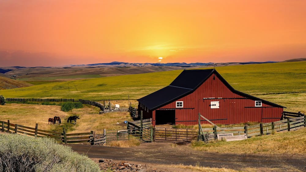 A very red barn at sunset, horses and a wheat field near Ruggs, Oregon