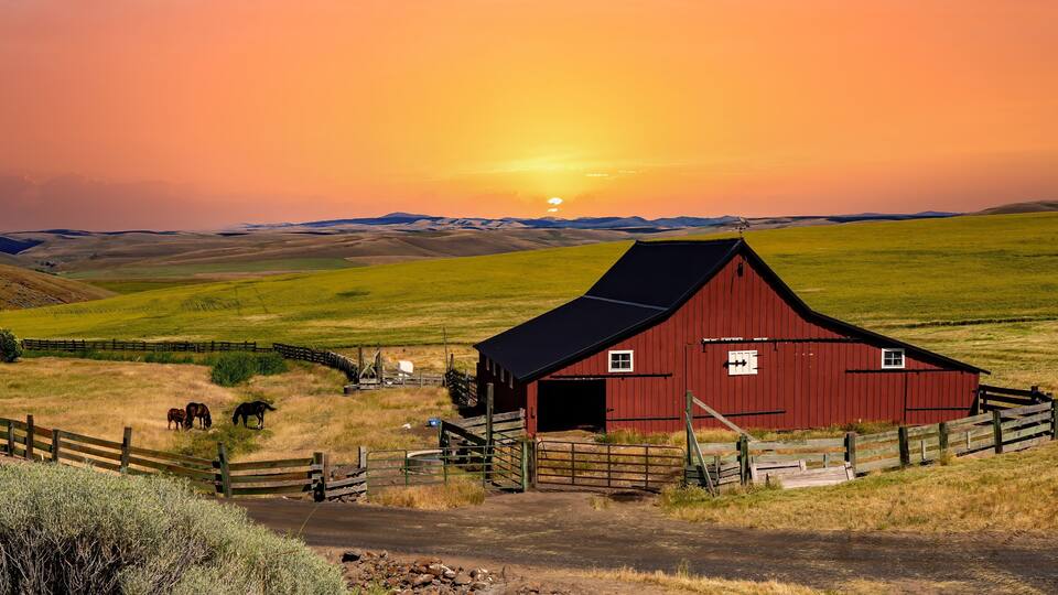 A very red barn at sunset, horses and a wheat field near Ruggs, Oregon