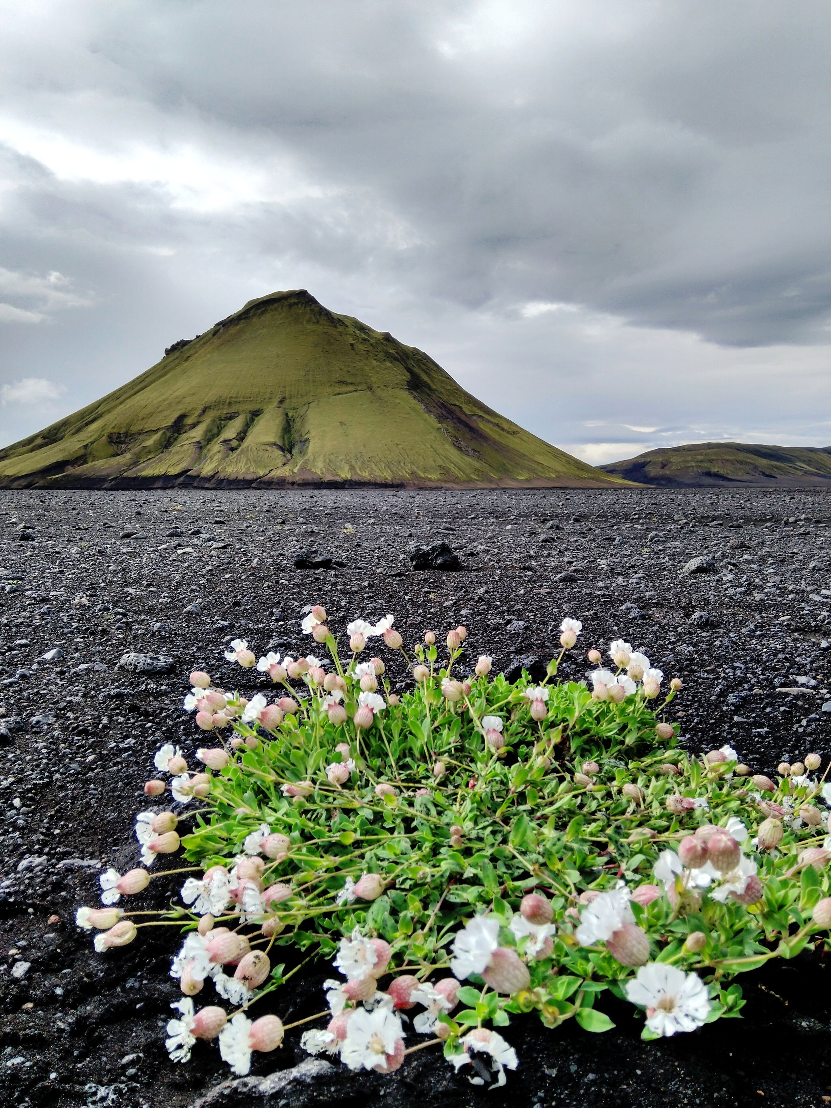 Laugavegur trail to Landmannalaugar. Iceland's highland scenery 🇮🇸  
We took a 4x4 road to Landmannalaugar, got lost in the process and ended up seeing some amazing nature ❤️