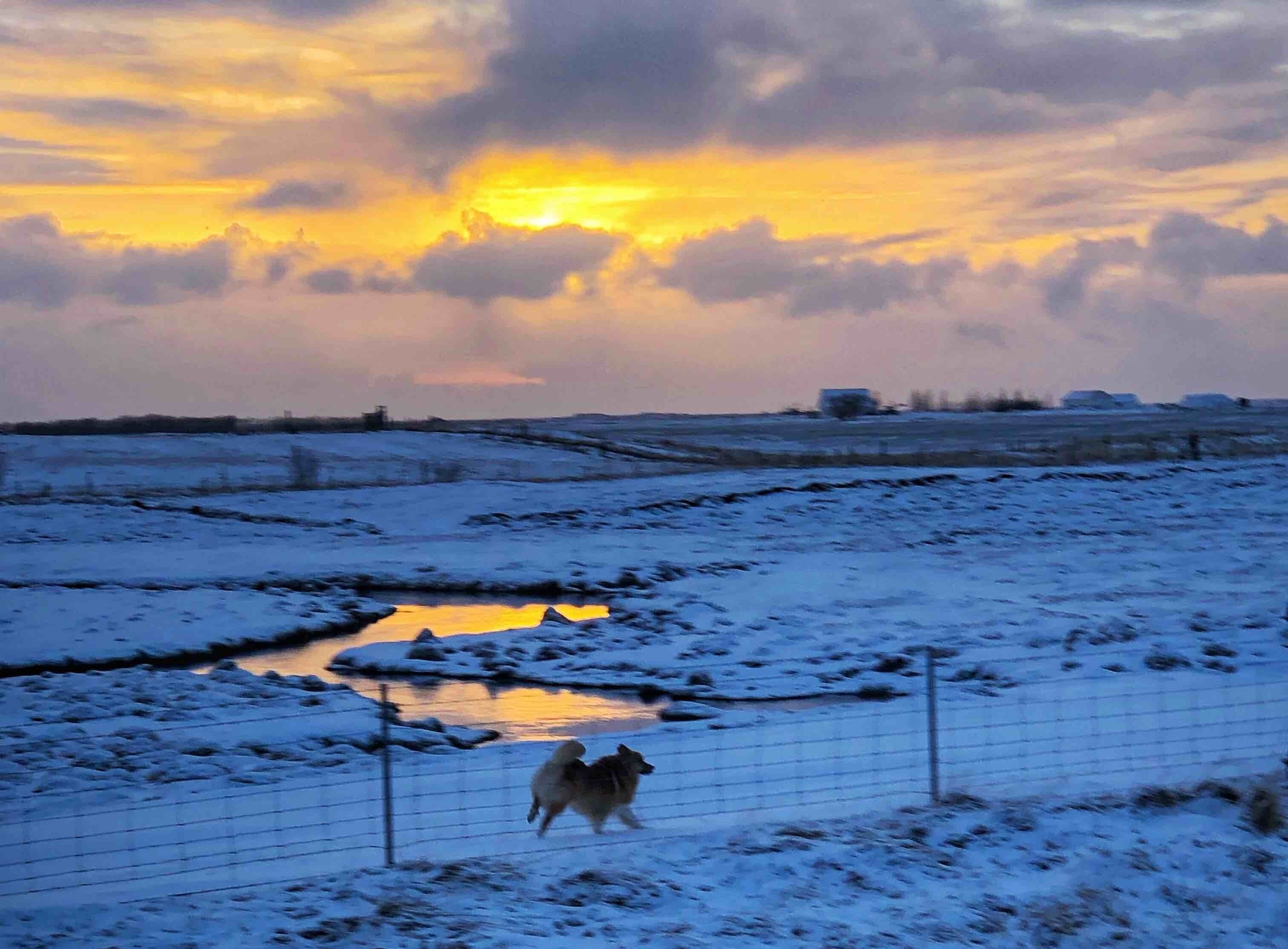 Magnificent light...