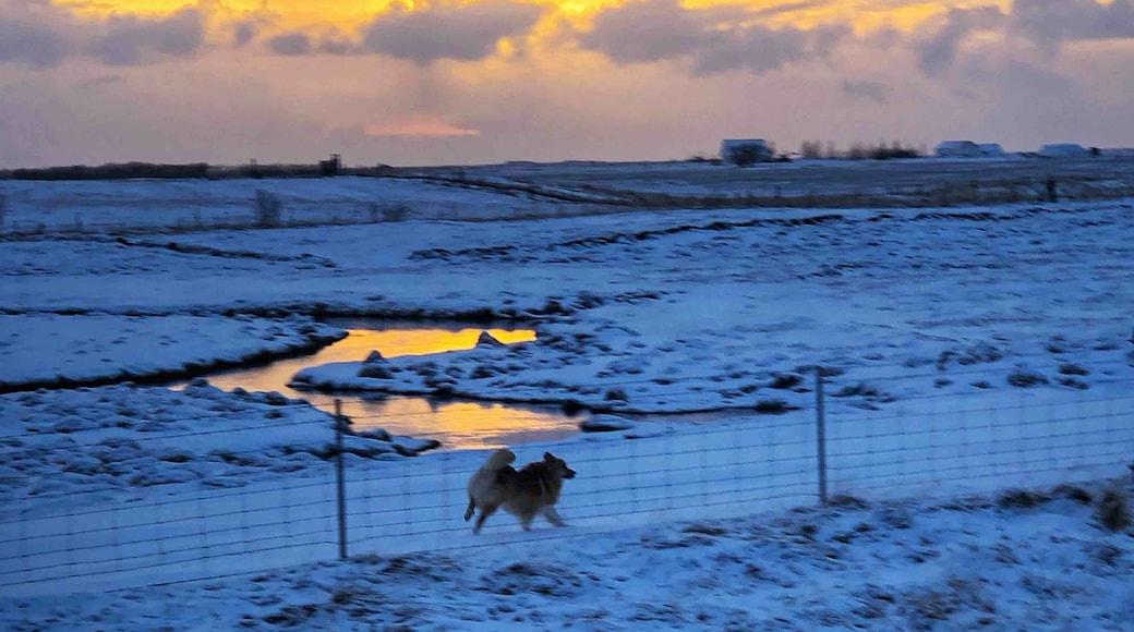 Magnificent light...