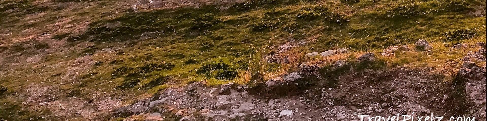 We spent the last evening of our Albanian road trip adventure in the city of Kruje. Not only were we super lucky with the accommodation (make sure to check out Panorama Hotel - awesome value for money) but we were also rewarded with epic sunset. If you climb up to the old tower, the views are breathtaking.
#albania #kruje #skanderberg #sunset #architecture #goldenhour