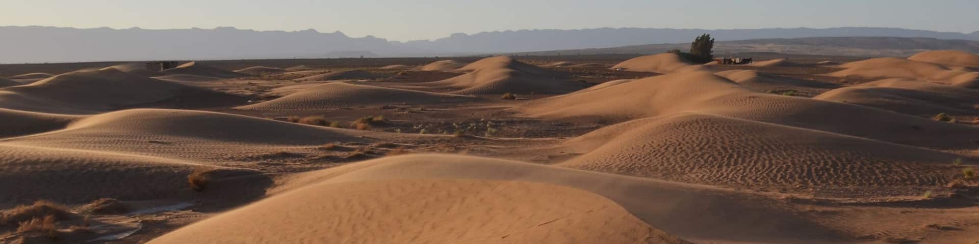 Going to Zagora from Marrakech was a beautiful experience! We rented a car with a very nice driver who took us from Marrakech to Zagora, crossing the beautiful landscapes offered by the Atlas mountains. You can spend one night in a camp into the desert and live for a couple of days the experience of real silence and heal your soul. And maybe also start a friendship with your camel! :D