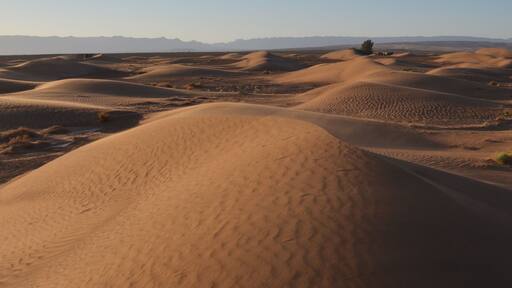 Going to Zagora from Marrakech was a beautiful experience! We rented a car with a very nice driver who took us from Marrakech to Zagora, crossing the beautiful landscapes offered by the Atlas mountains. You can spend one night in a camp into the desert and live for a couple of days the experience of real silence and heal your soul. And maybe also start a friendship with your camel! :D