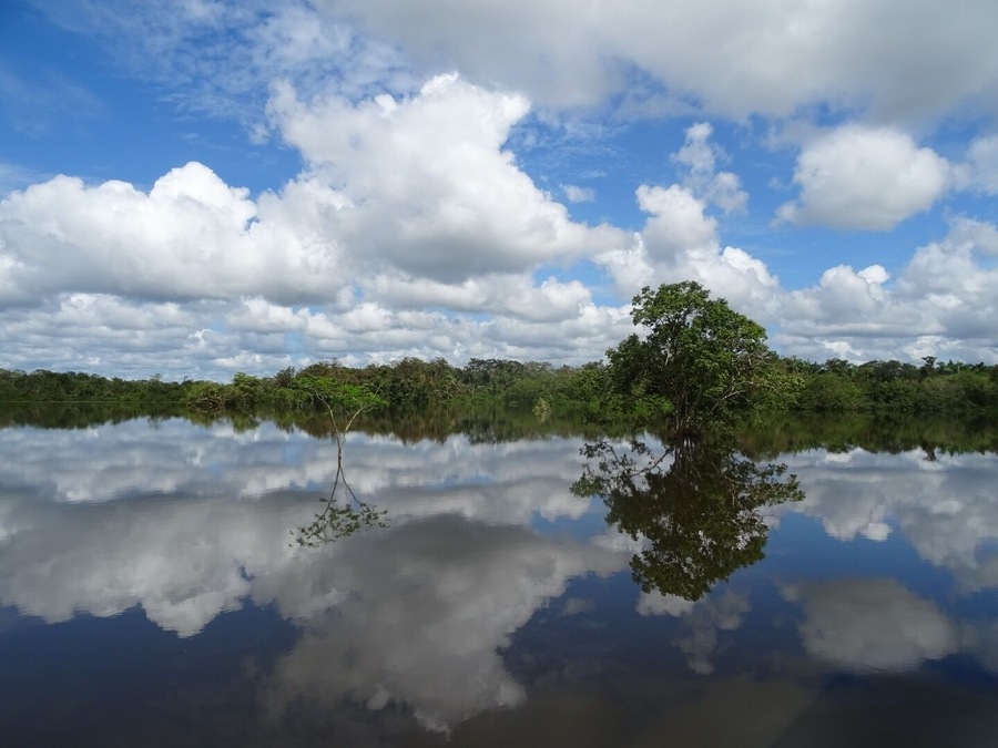 A view of the clouds and sky reflecting off the waters of the Río Frío near the Nicaraguan border.
Flip the photo over and it looks almost the same!
We booked a boat tour though anywherecostarica.com along the Río Frío in the Caño Negro wildlife area.
Absolutely worth it! They pick you up right at your hotel, take you to the boat, spend a couple hours on the river spotting wildlife, provide lunch and drop you back off at your hotel.
#BeachBound