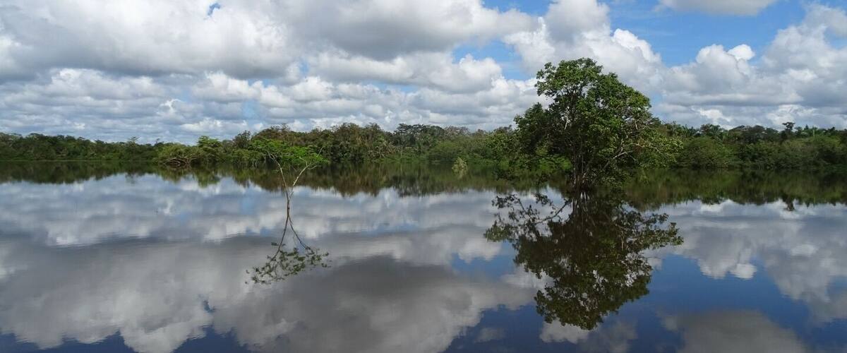 A calm lake with a tree in the center reflecting the sky and clouds.