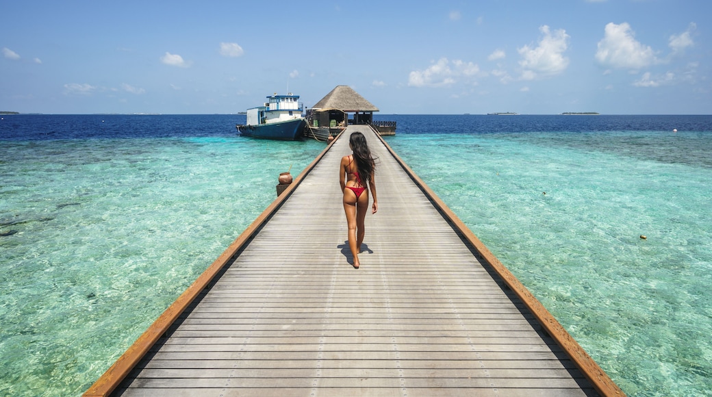 Kedhigandu
