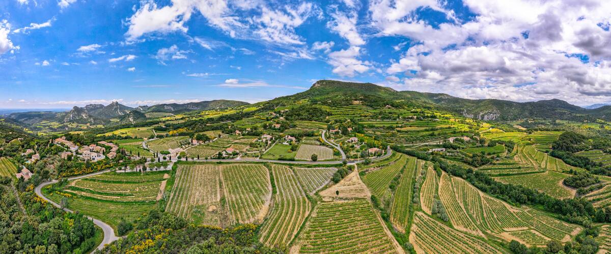 Terraced vineyards, rolling hills, and a prominent mountain peak.