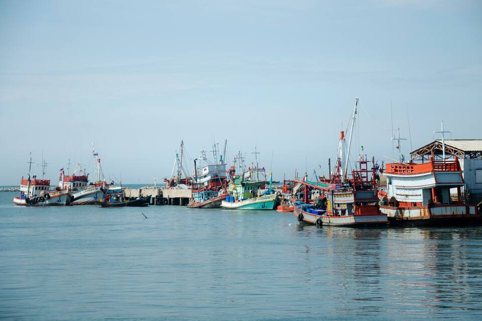 A harbor with multiple fishing boats docked.