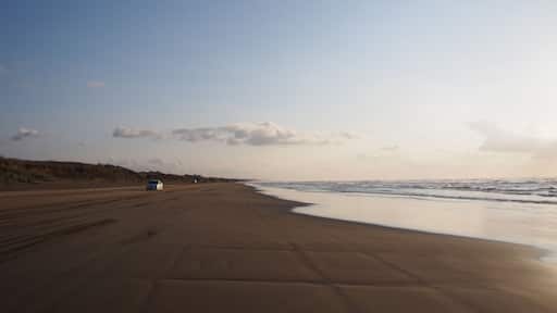 ์ง๋ฆฌํ๋ง๋ง์น