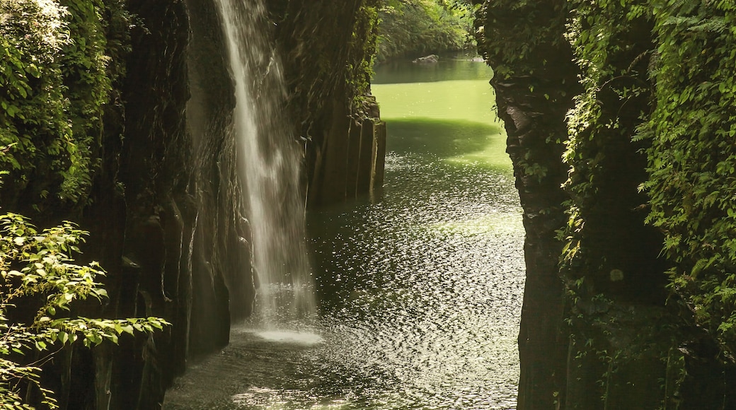 Takachiho Gorge (高千穂峡, Takachiho-kyō) is a narrow chasm cut through the rock by the Gokase River. Volcanic basalt columns line the sheer cliffs of the gorge, originally as a result of Mt. Aso’s eruption and further shaped through time by the flowing river, creating interesting shapes and patterns.
.
The 17-meter Manai Falls is probably the highlight of the tour, as it cascades into the river below and along with the gorge and the bridge makes for a very picturesque location. Normally, boat rides are offered to visitors but during the day of our visit it was temporarily stopped due to the high waters brought about by the recent typhoon.