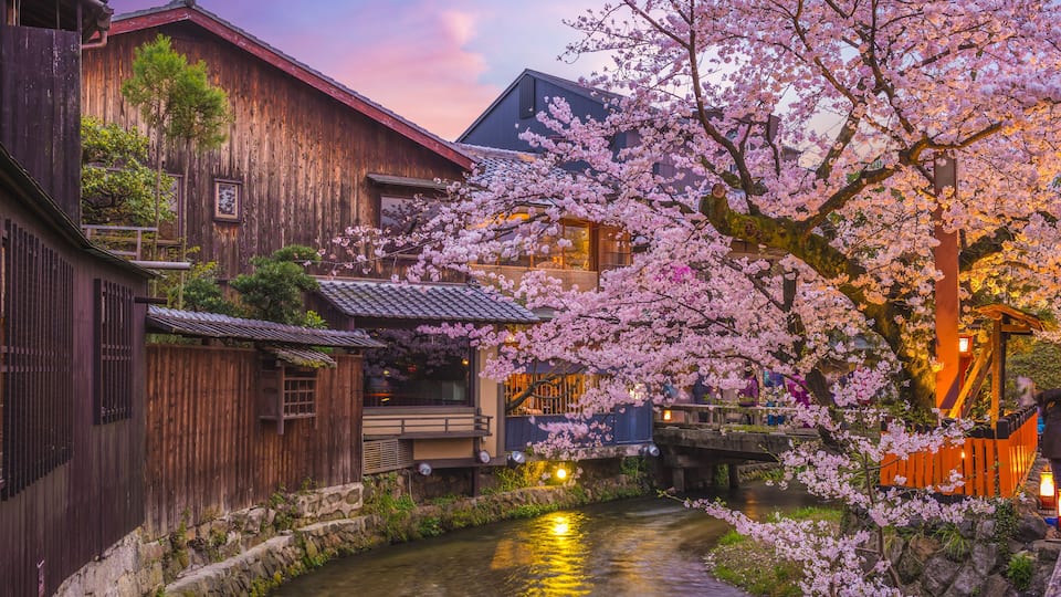 Night view of Shirakawa River in Gion