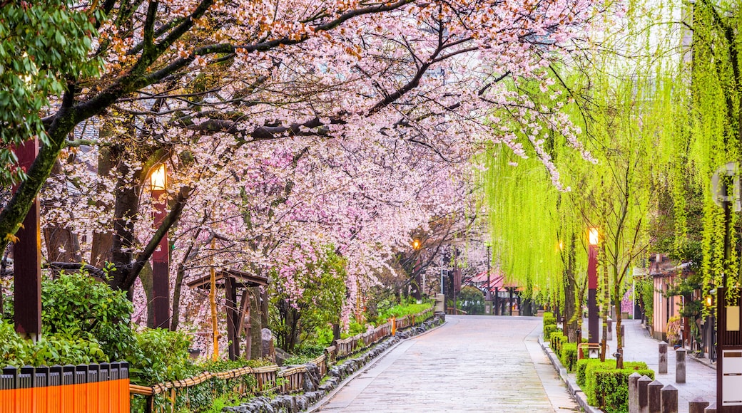Gion Shirakawa
