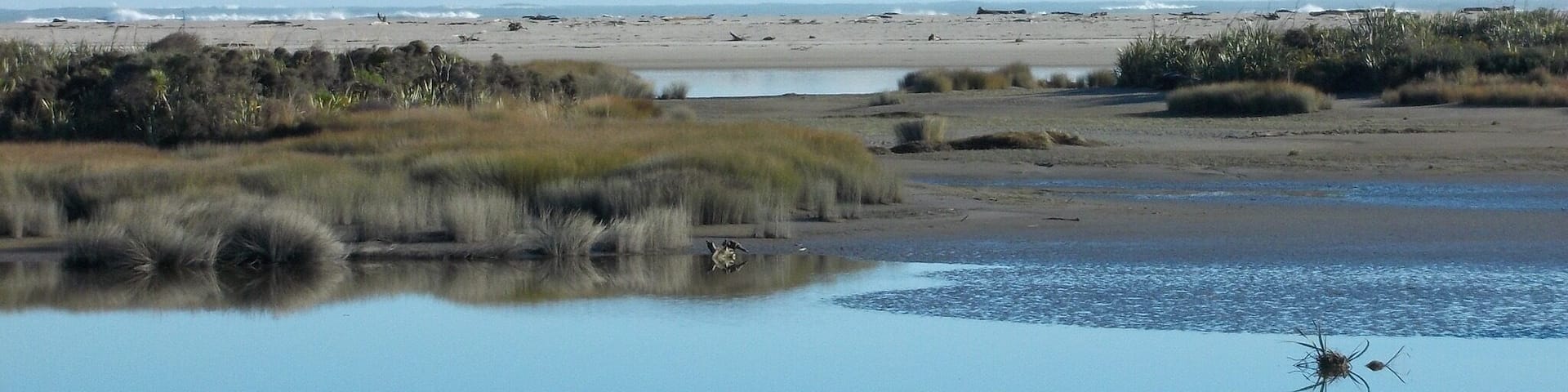 You can see the Tasman Sea! On the other side the mountains!