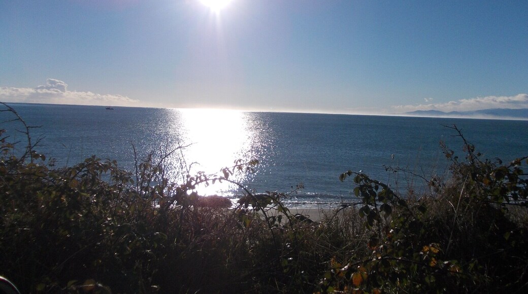 Looking for some penguins!