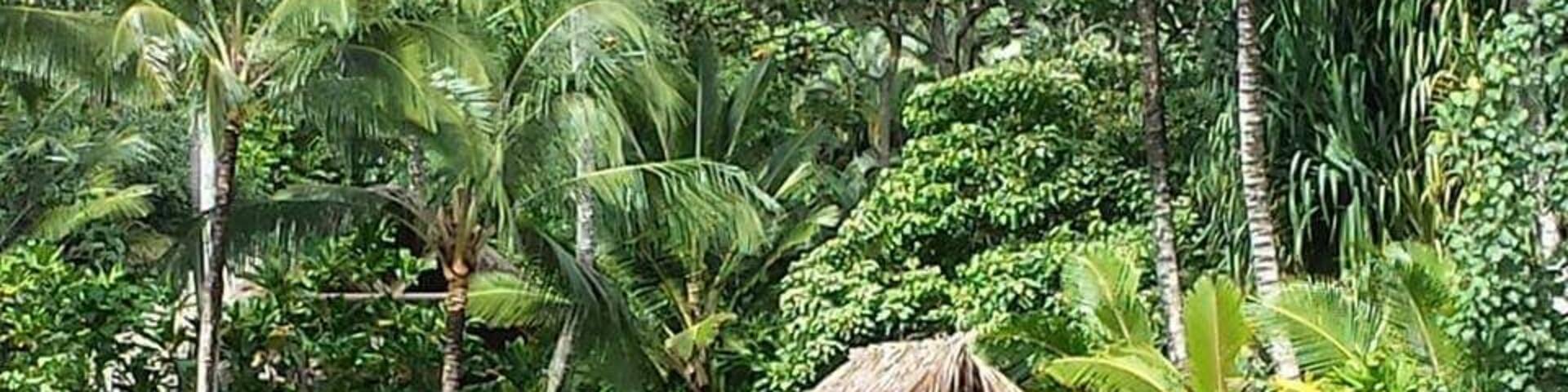 Yum
Ice Cream & Espresso