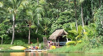 Yum
Ice Cream & Espresso