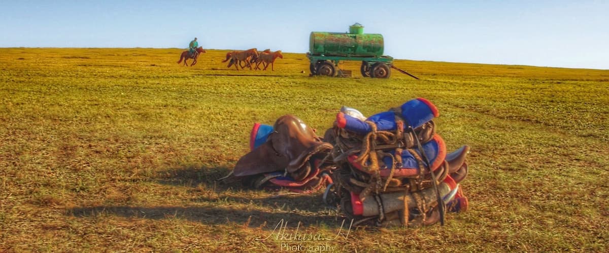 A vast open field with a green tractor and horses in the distance.