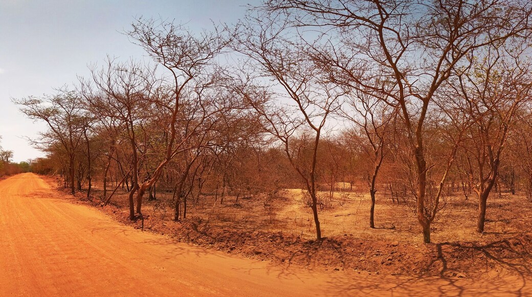 African road in Senegal. Panorama.