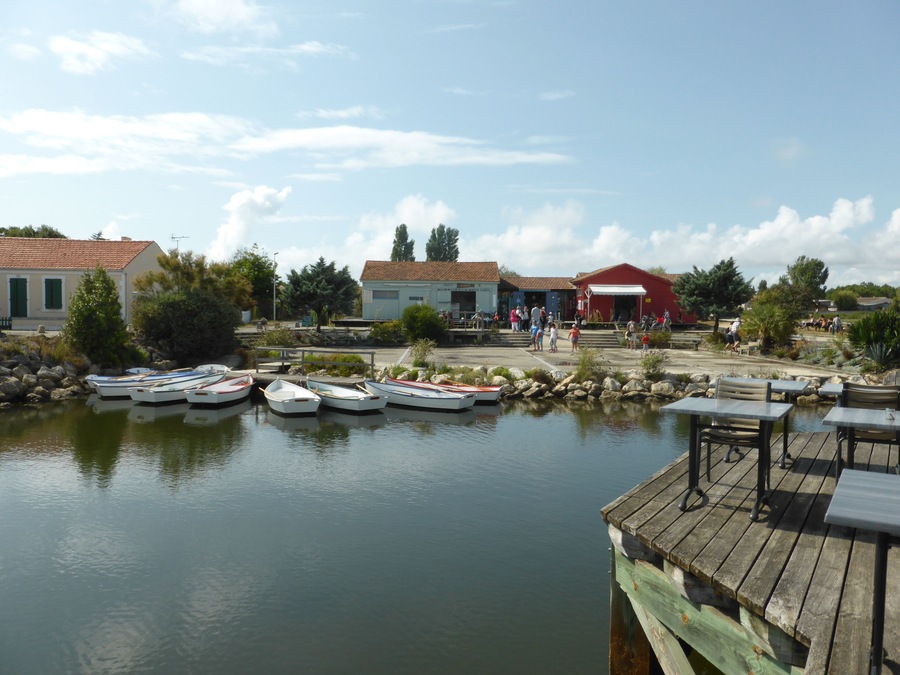 A calm waterfront with several small boats docked, a wooden pier, and a few buildings in the background.