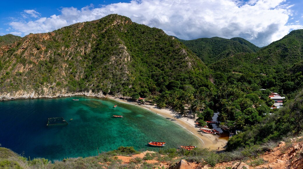 Ocumare de la Costa de Oro