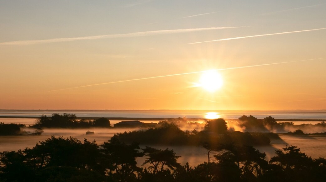 Fantastic panoramic view from the Høstbjerg dune to the beautiful wadden sea in fog at sunrise, Rømø, North Sea, Denmark