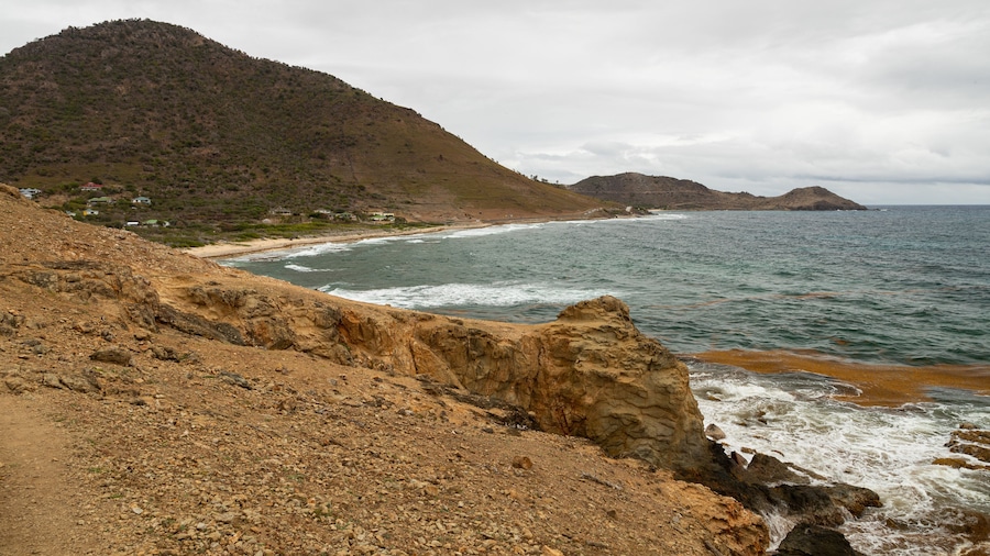 Grand Fond showing general coastal views and rocky coastline