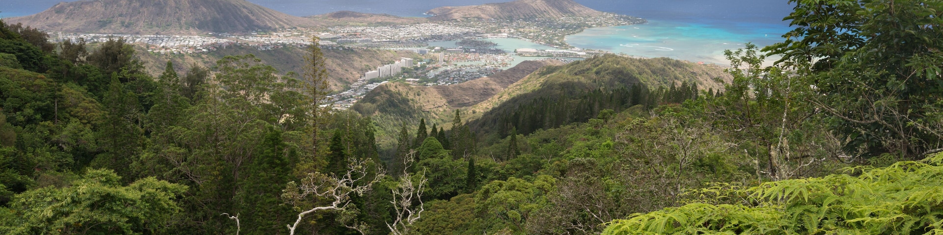 A lush green landscape with a mountain, a coastal town, and a beach.