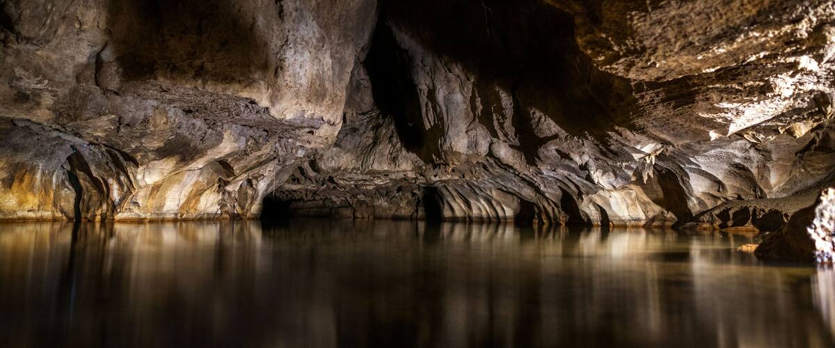 Illuminated Glow Worm Sky in Dark Cave, Waipu Caves, North Island, New Zealand