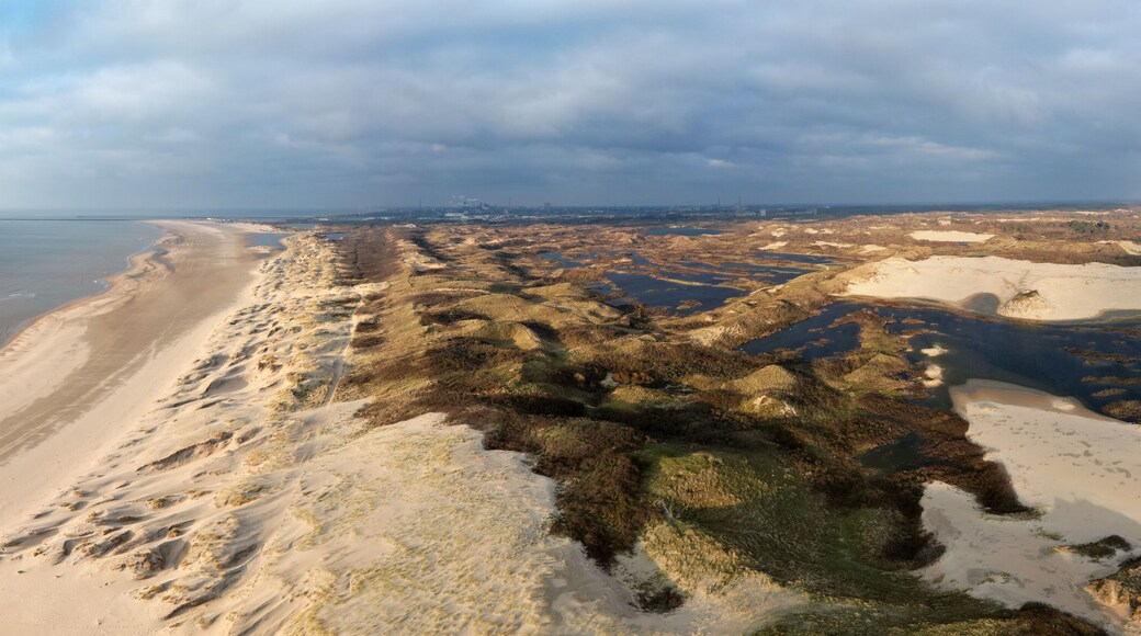 Municipio de Bloemendaal