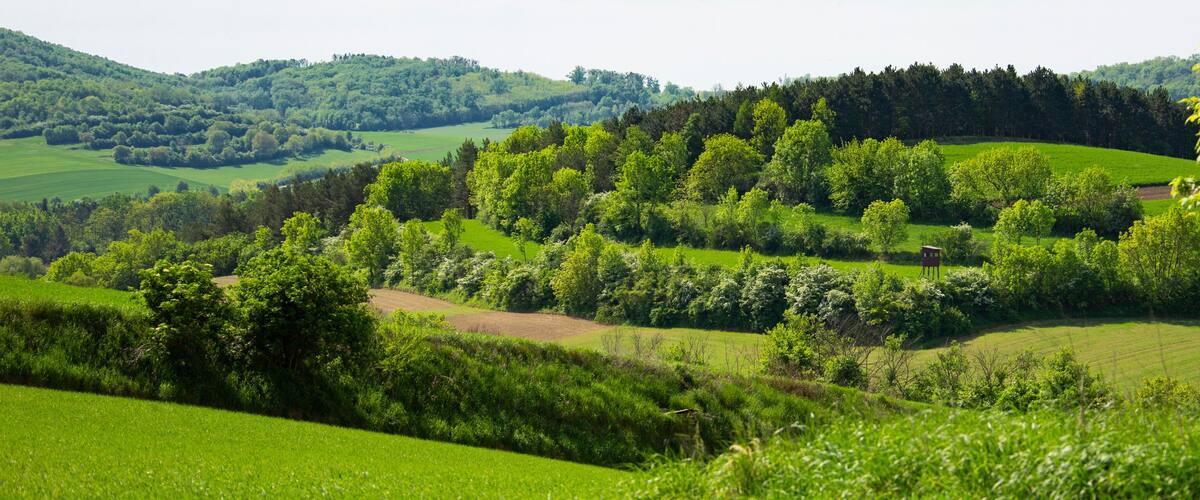 Rolling green hills, dense forests, and a small red structure in a rural landscape.