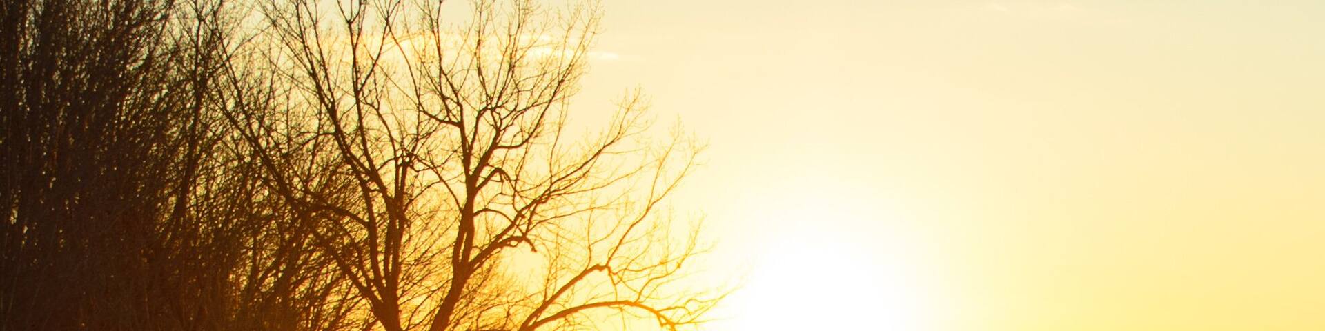 Snowmobiling at sunset