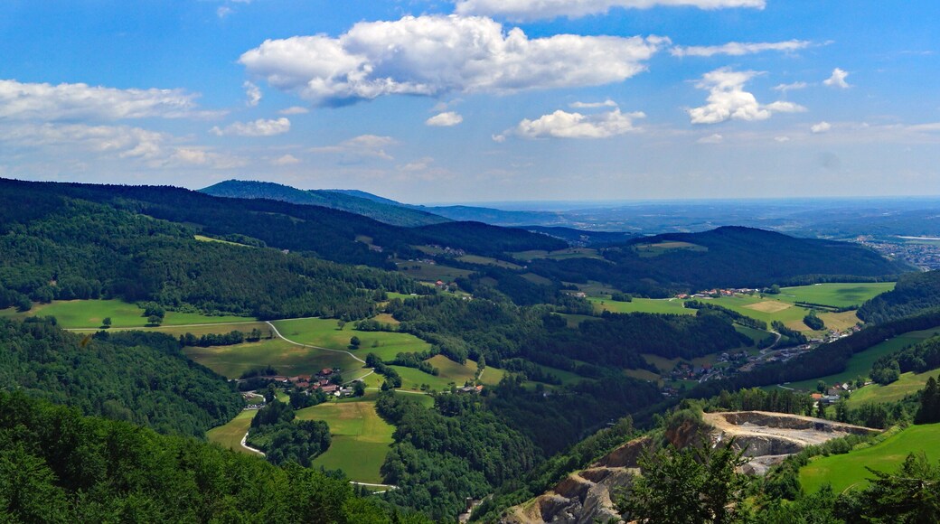 Gemeinde NAAS mit Bezirkshauptstadt WEIZ im Hintergrund ( Oststeiermark )