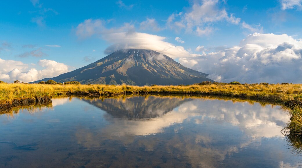 Distrito de Nueva Plymouth