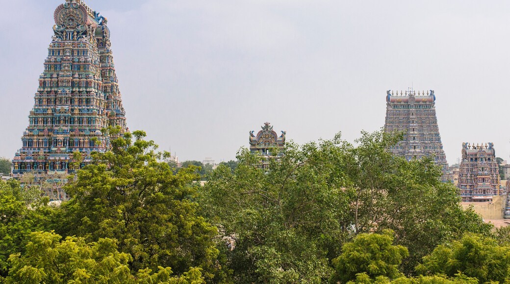 Türme des Minakshi-Tempel in Madurai, Indien