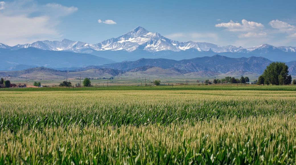 Front Range