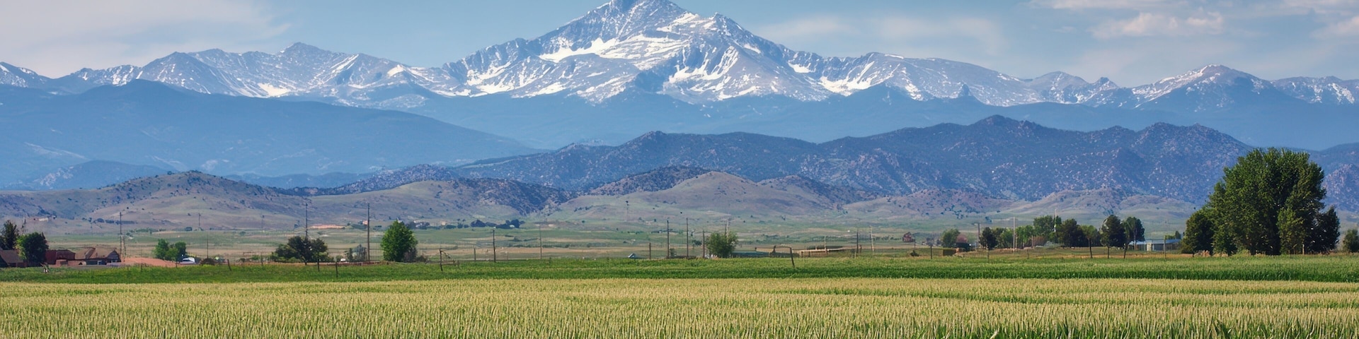 A field of crops with a mountain range in the background.
