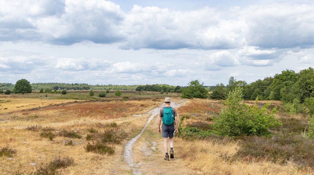 Commune de Borger-Odoorn