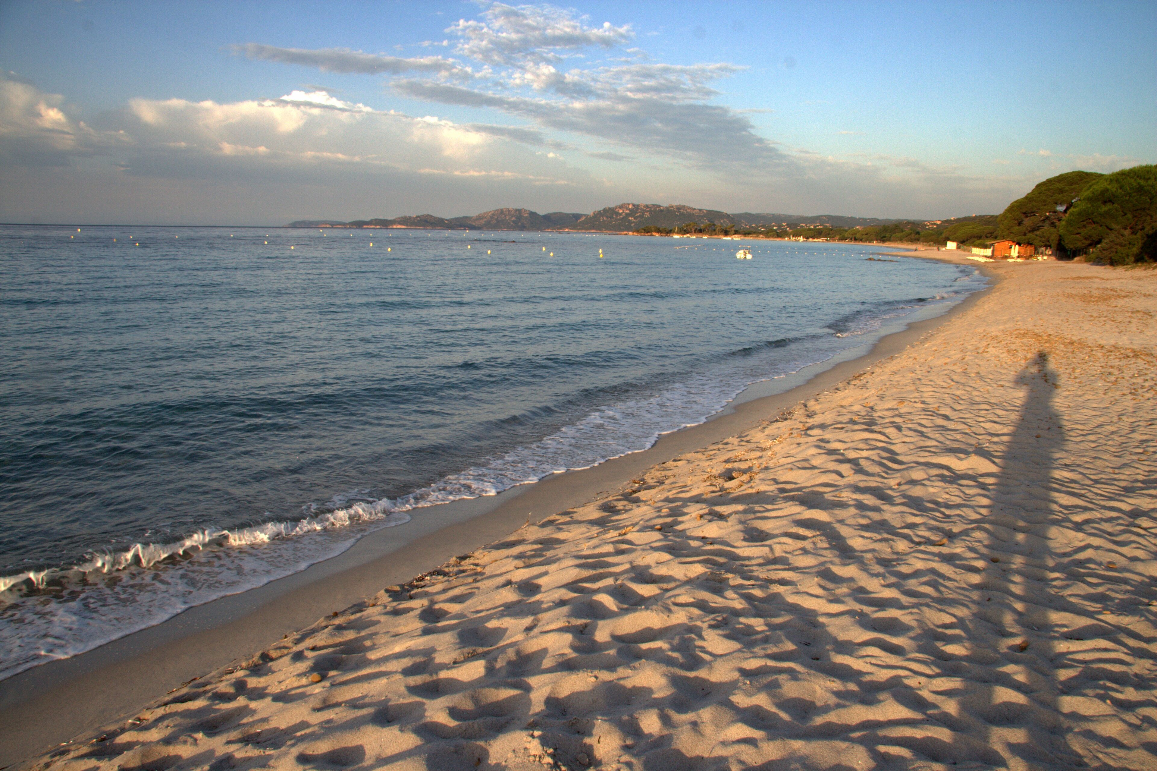 Липневий ранок.